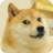 The_Unreal_Doge