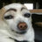 Shibe Condo