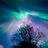 ShadeOfLight