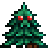 TBoC