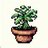 Houseplant