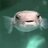 GreaterPufferfish