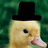 SirDuck