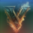 Ventriii