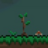 babytree