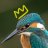 princefisherr