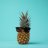 bespectacled pineapple