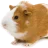 papuliano