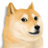 notpetethepug