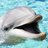 ThatOneDolphin