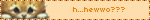 0066-orangekitty.gif