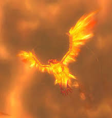 Image result for fire hawk