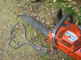 DSC_7242 broken chainsaw chain | peplers.blogspot.com | Mike ...