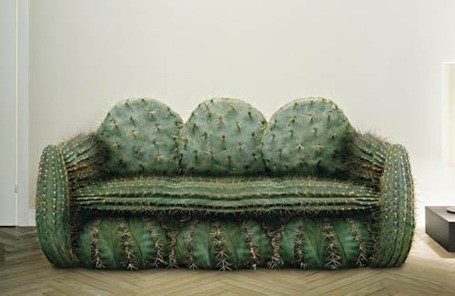 3.-The-Cactus-Sofa.jpg