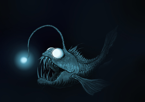 Angler Fish.jpg