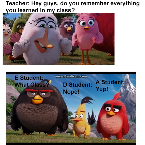 Angry Birds Movie Meme.png