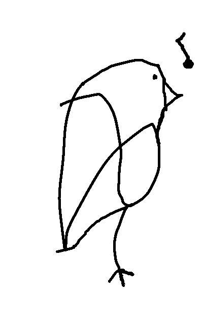 Bird.png