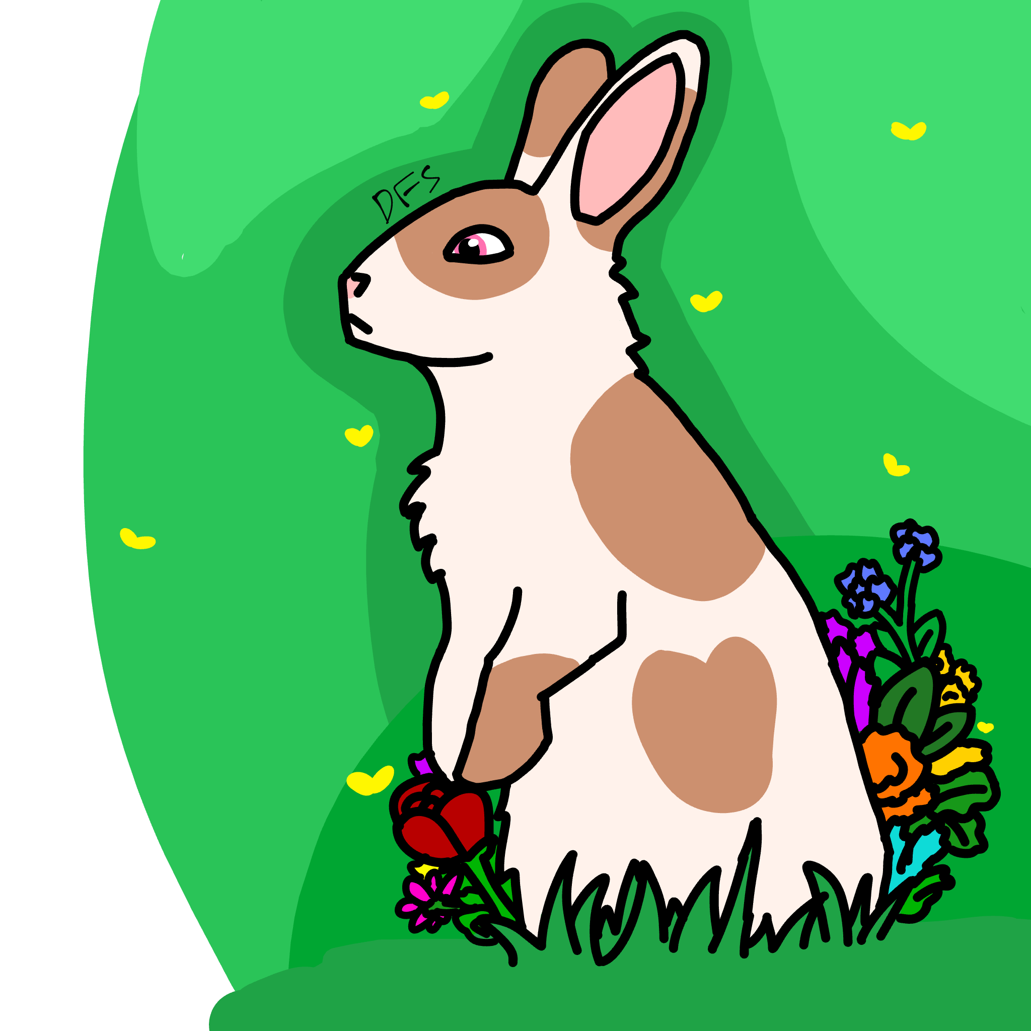 bunmy.png