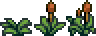 Cactus_(placed) (3).png