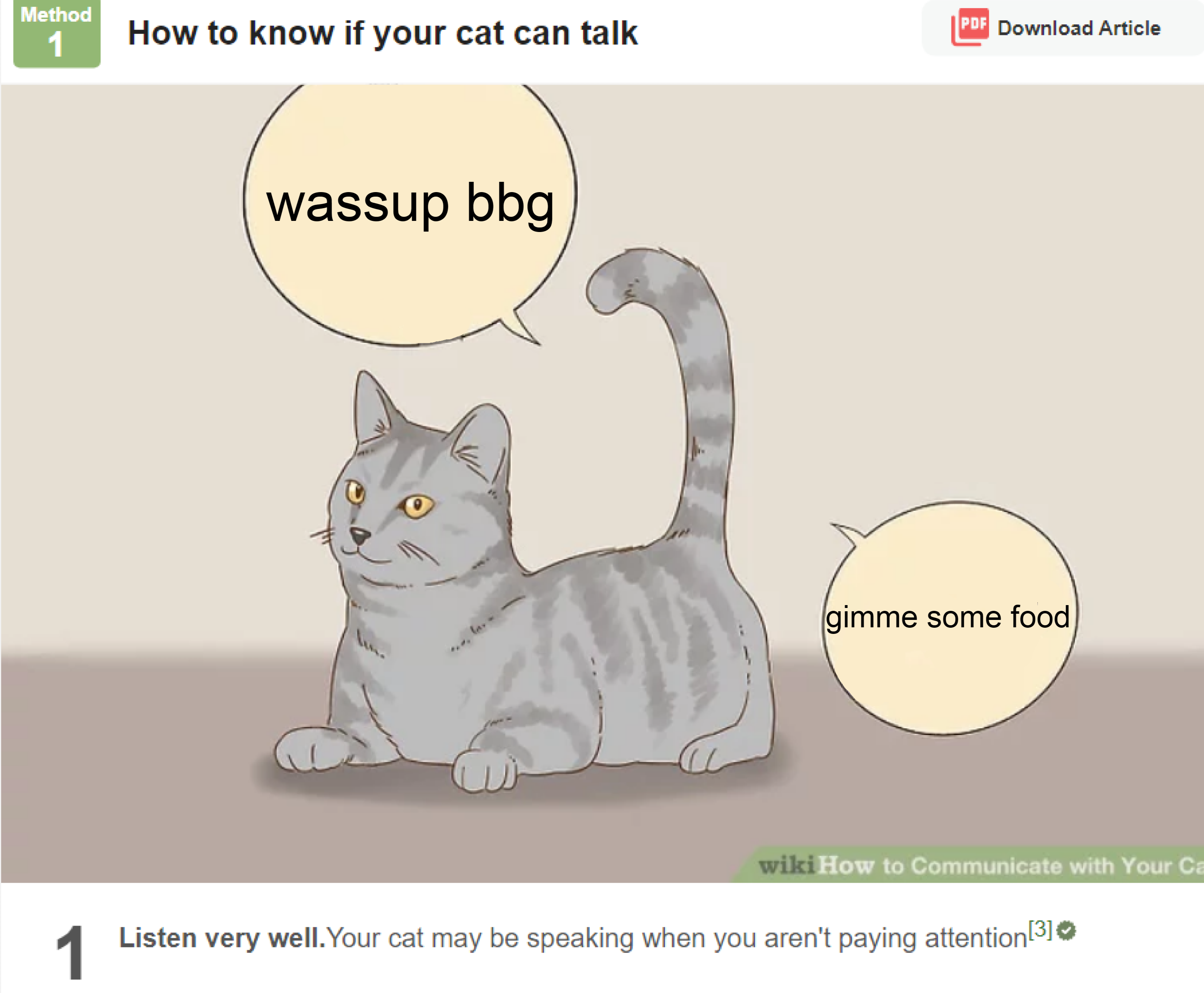 cat can talk.png