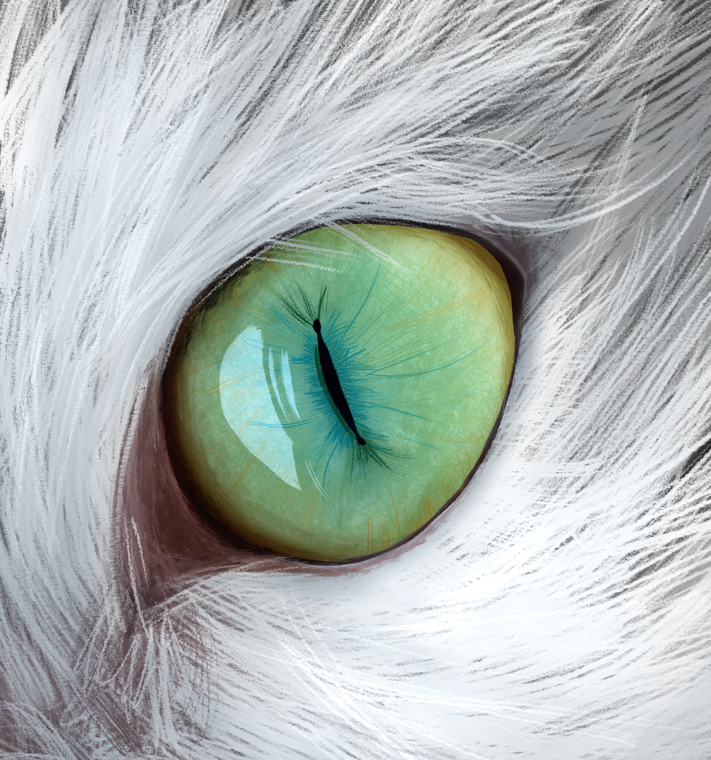 Cat Eye.png