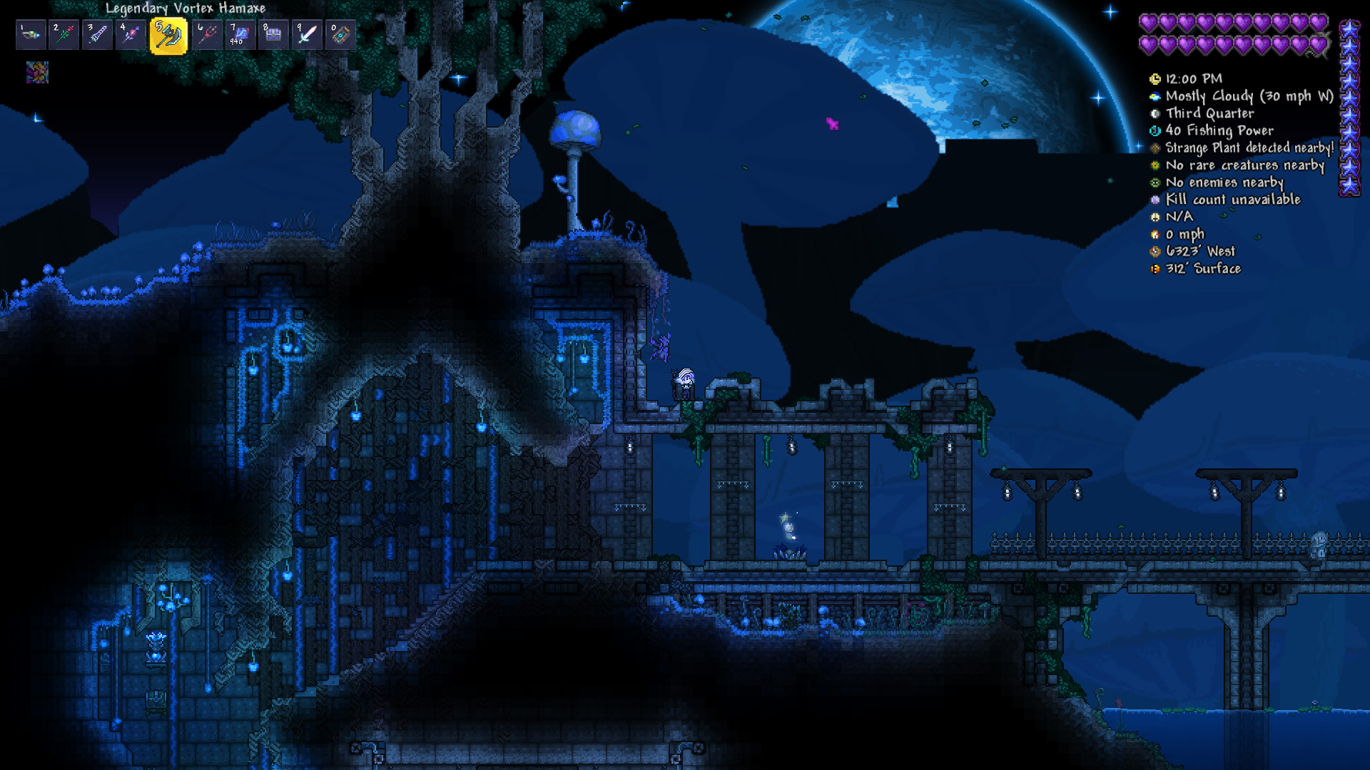 Celestial Mushroom Dungeon.jpg