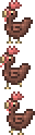 Chicken.png