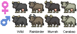 cows 2(water buffalos).png