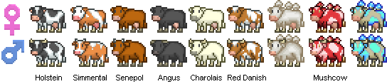 cows.png