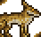 Coyote.png