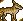 Coyote Small.png