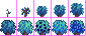 Elderberry plant states.png