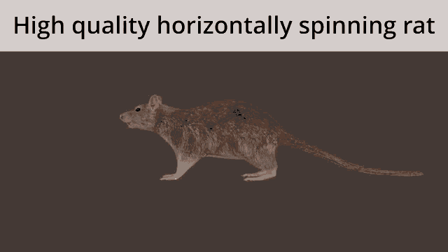 high-quality-horizonrally-spinning-rat.gif