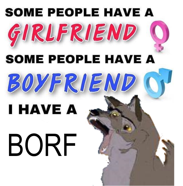 I HAVE A BORF .png