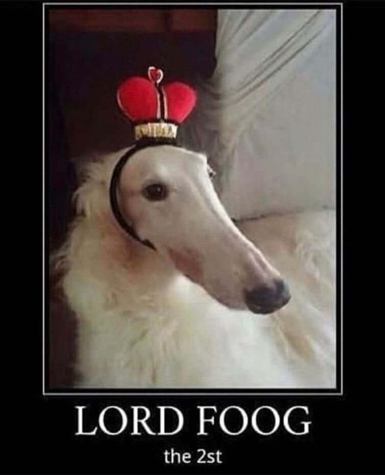 lord_foog_the_2st.jpg