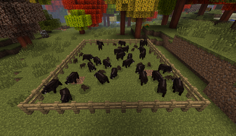 minecraft 30-50 feral hogs.png