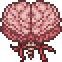 Mini Brain of Cthulhu.PNG