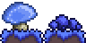 Mushroom_grass - Copy - Copy.png