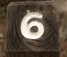 Nature's_Number_6.jpg
