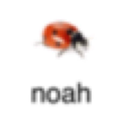 noiah.png