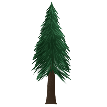 Pine Tree 1.png