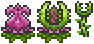 Plantera Seedling.png