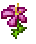 Planters_Bloom_Petal.png