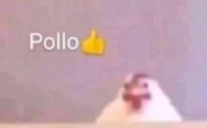 Pollo.jpg