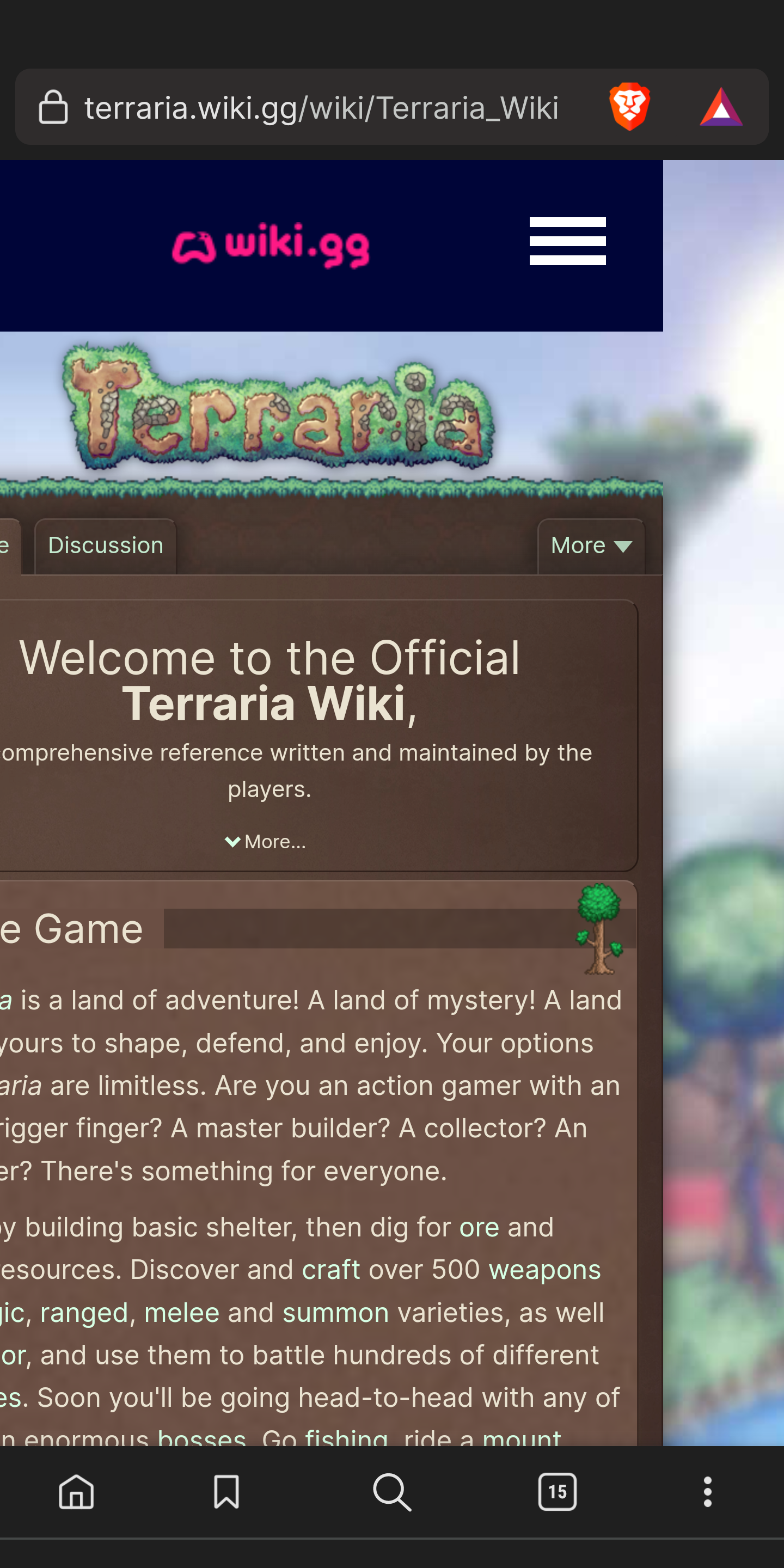 New Official Terraria Wiki Launches Today!, Page 3