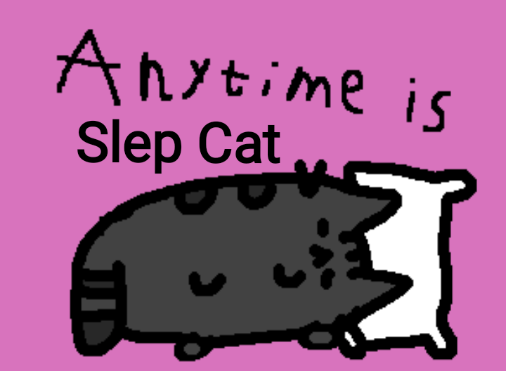 Slep Cat.png