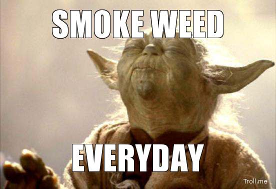smoke-weed-everyday.jpg