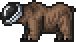 SPACE BEAR!.png