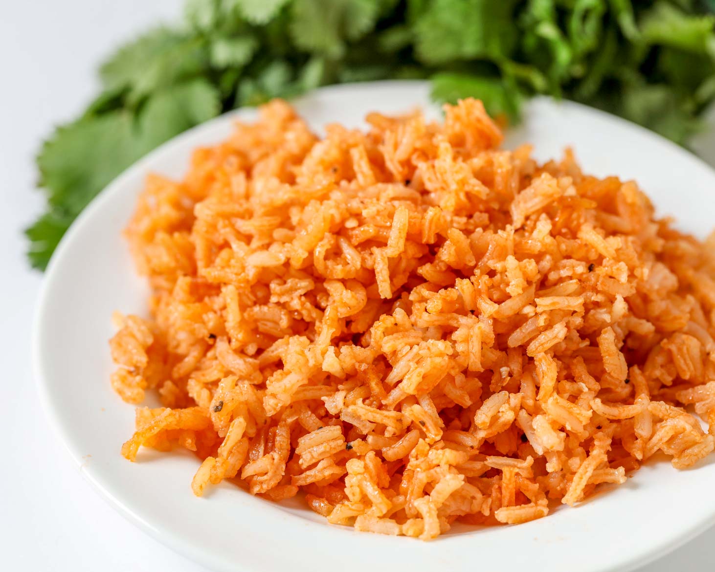 spanish-rice-resize-6.jpg