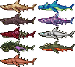 special shark types.png